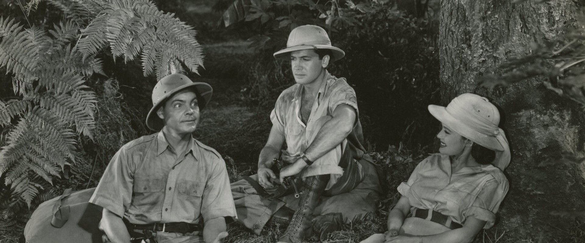 Jungle Safari's banner image