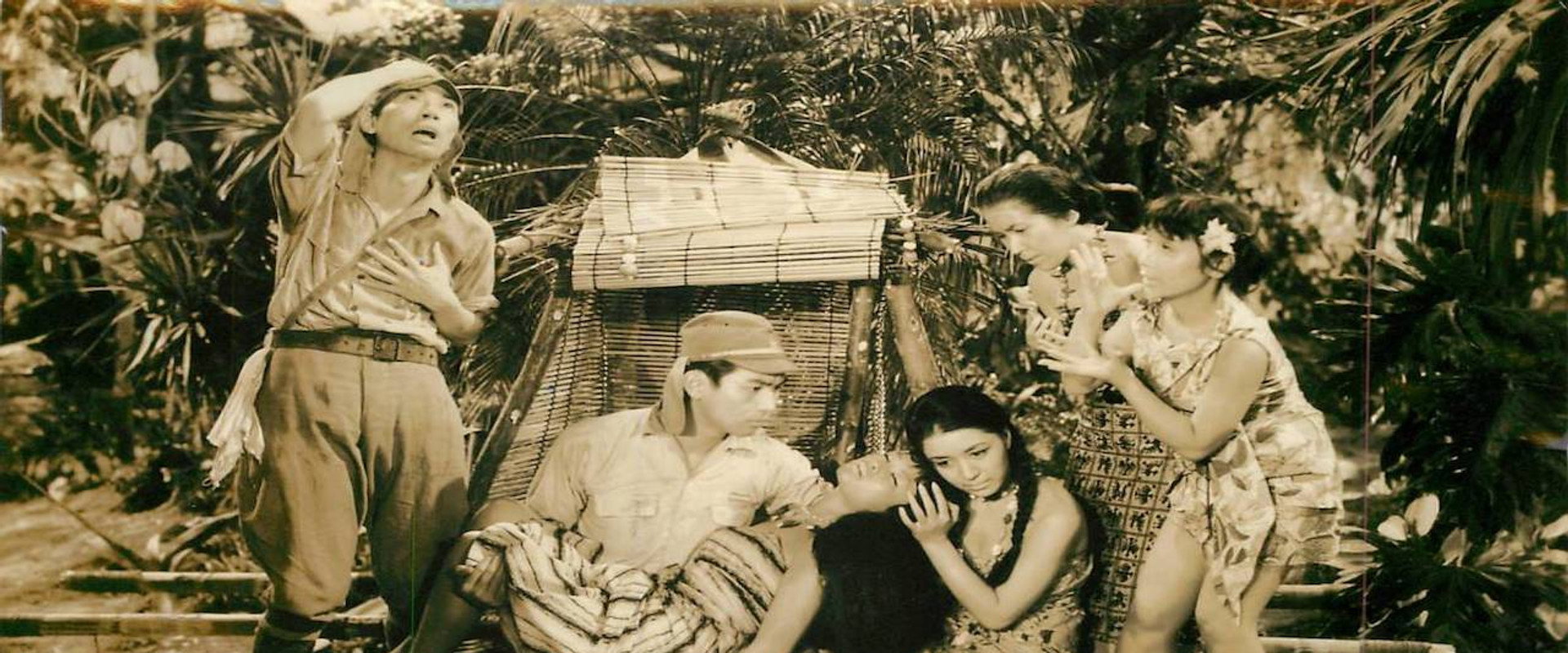 The Paradise Island Story's banner image