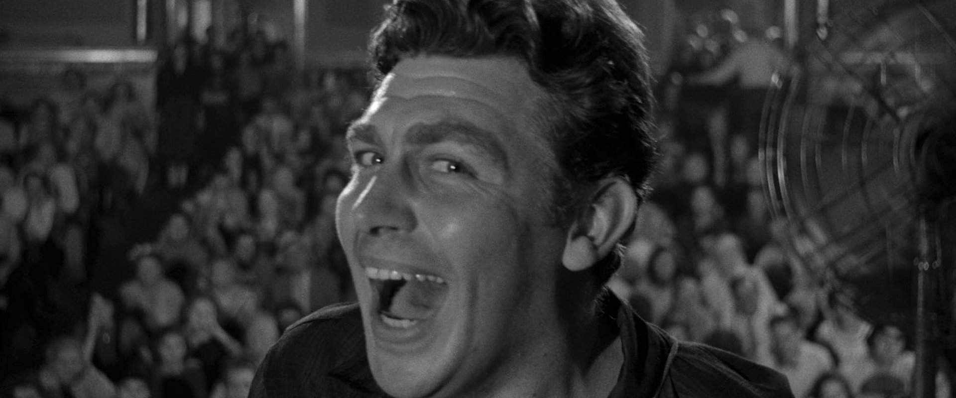 A Face in the Crowd