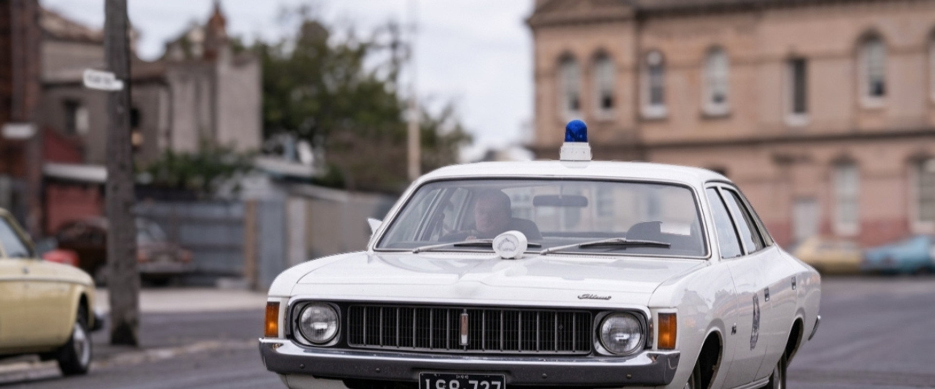 Bluey's banner image