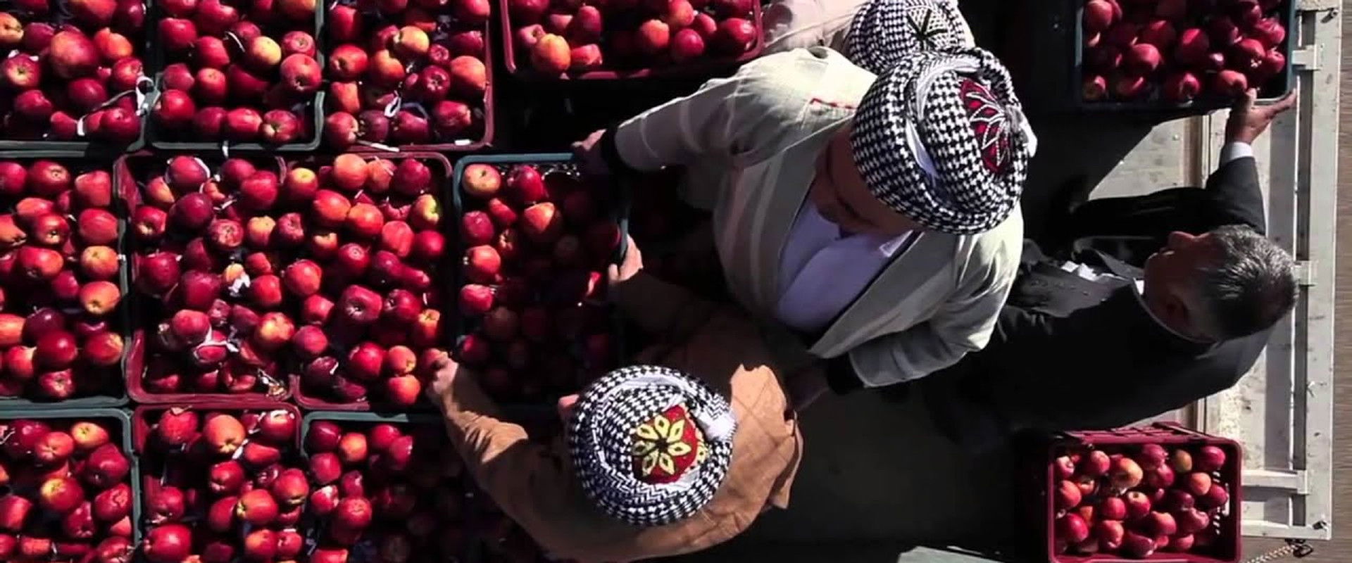 1001 Apples's banner image