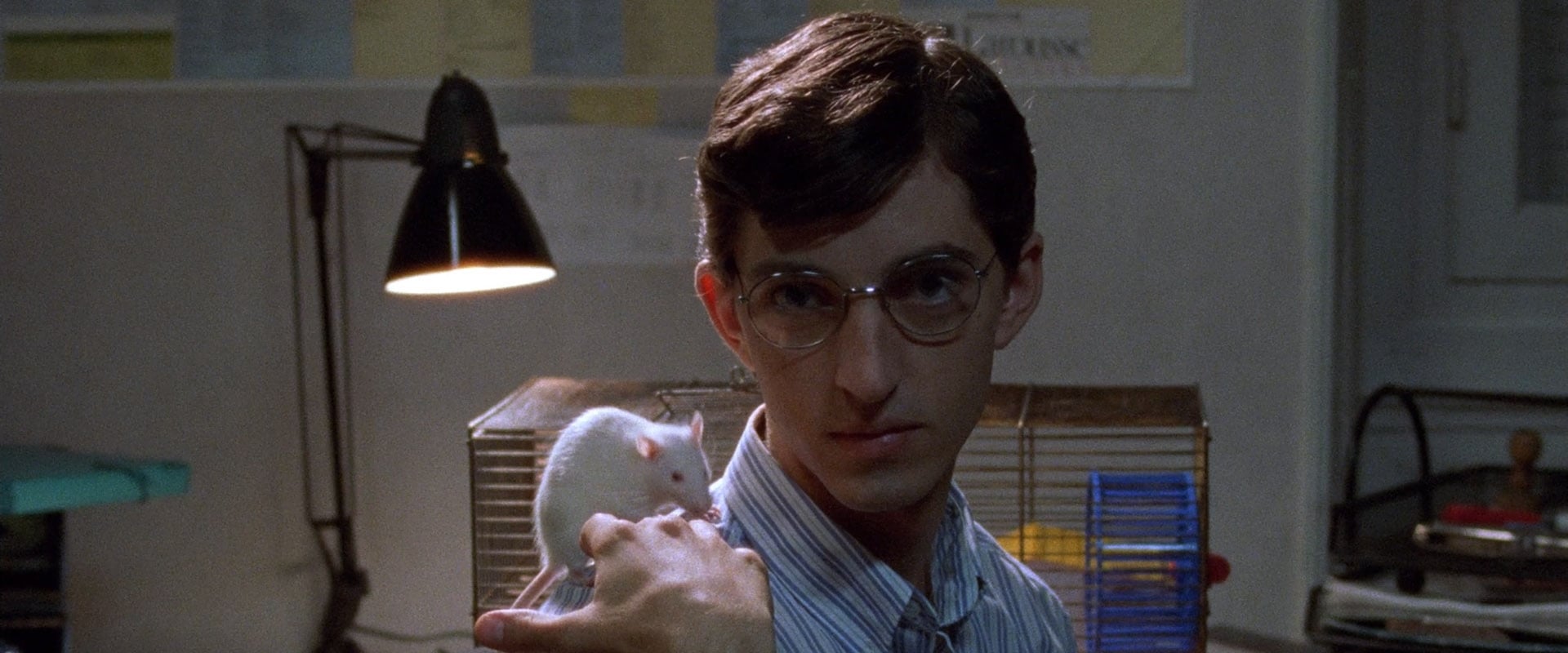 Sitcom - Nossa Linda Família