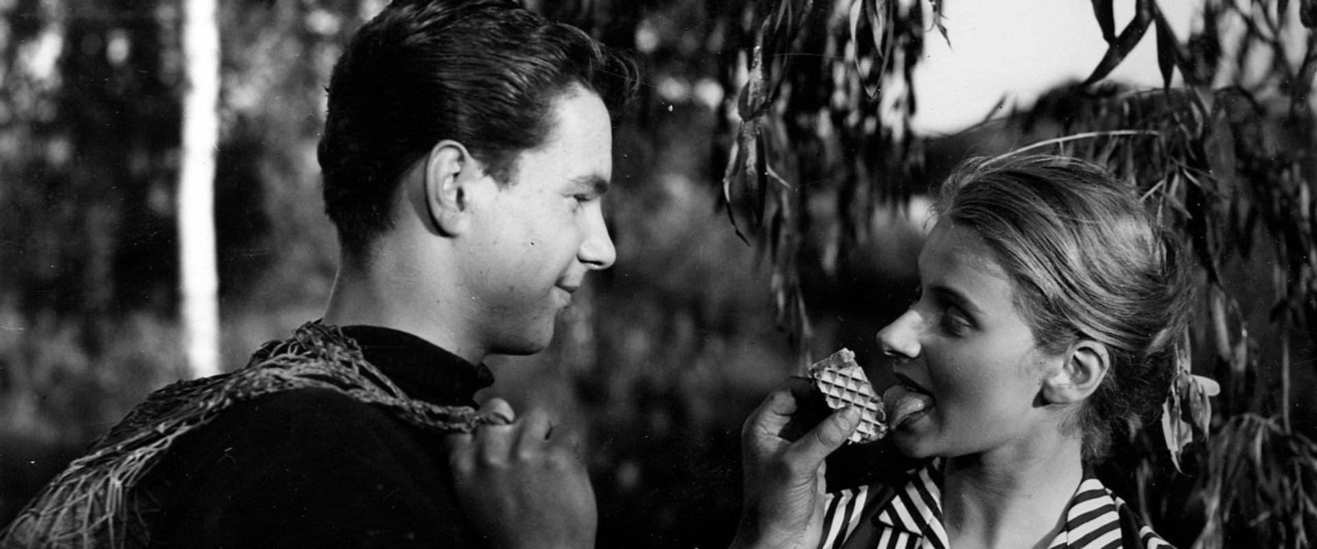 Old Boat and Young Love's banner image