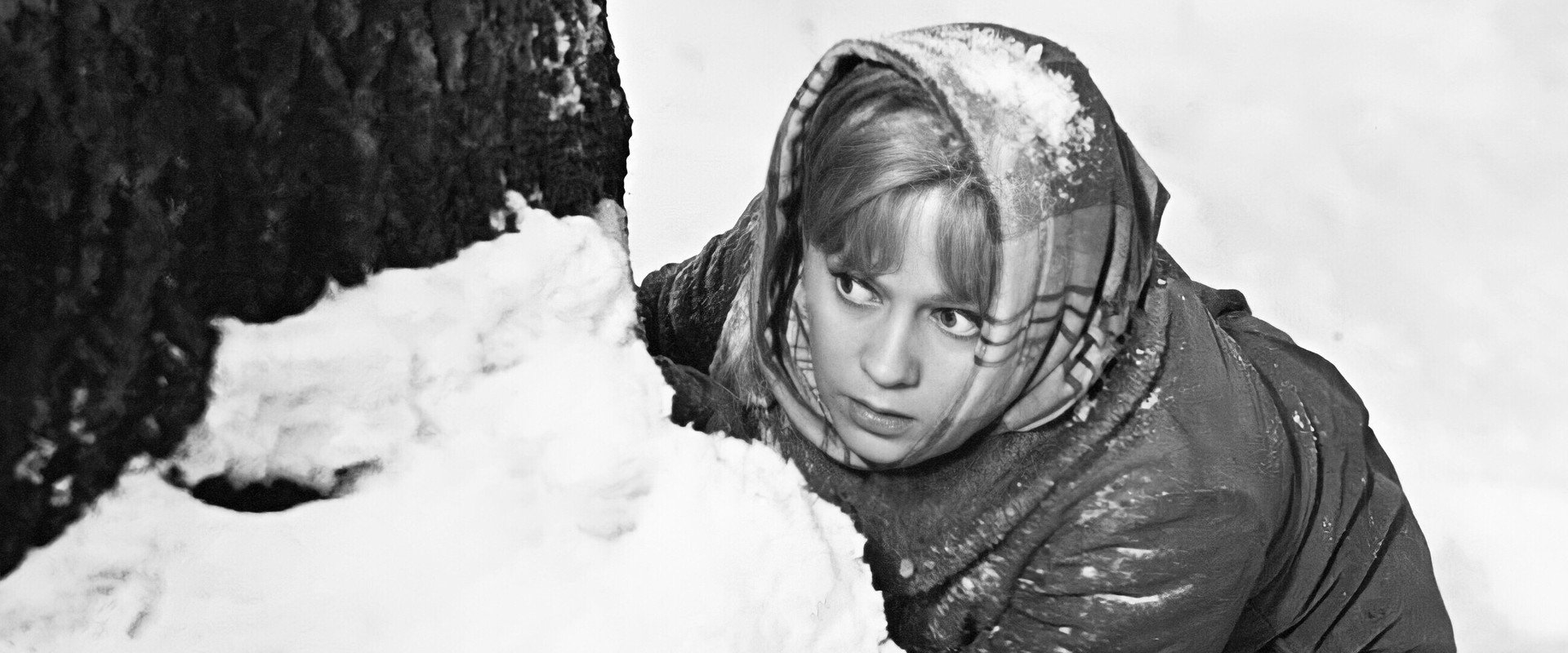 The Russian Forest's banner image