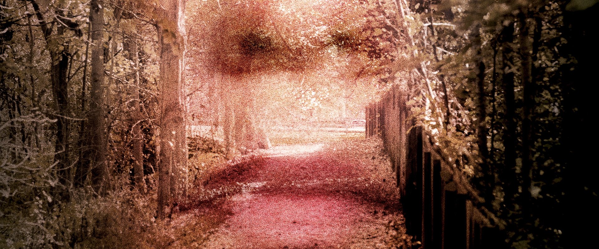 Gone: The Forgotten Women of Ohio