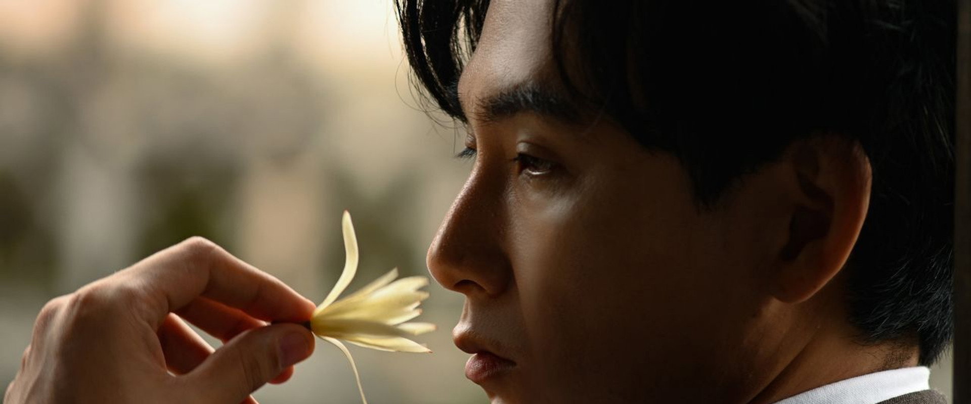 A Stranger in Shanghai's banner image