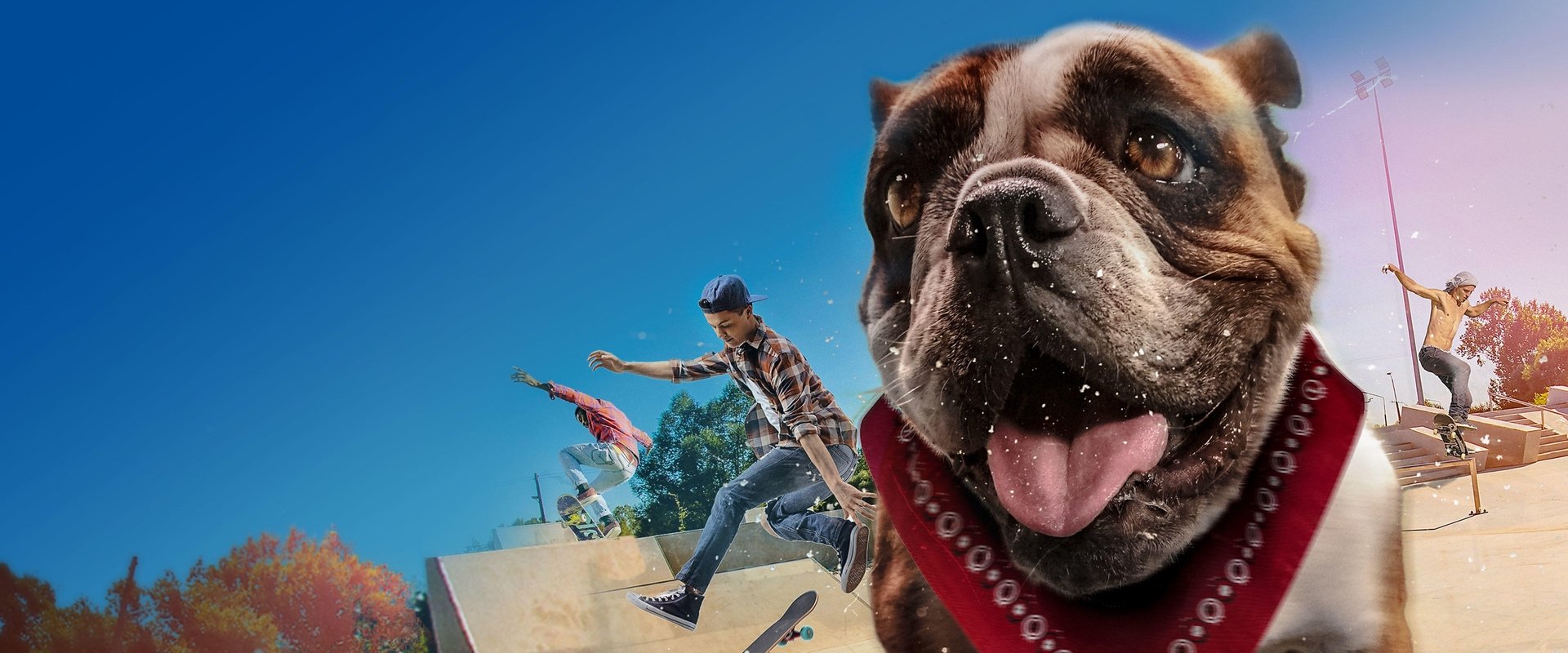 Sk8 Dawg