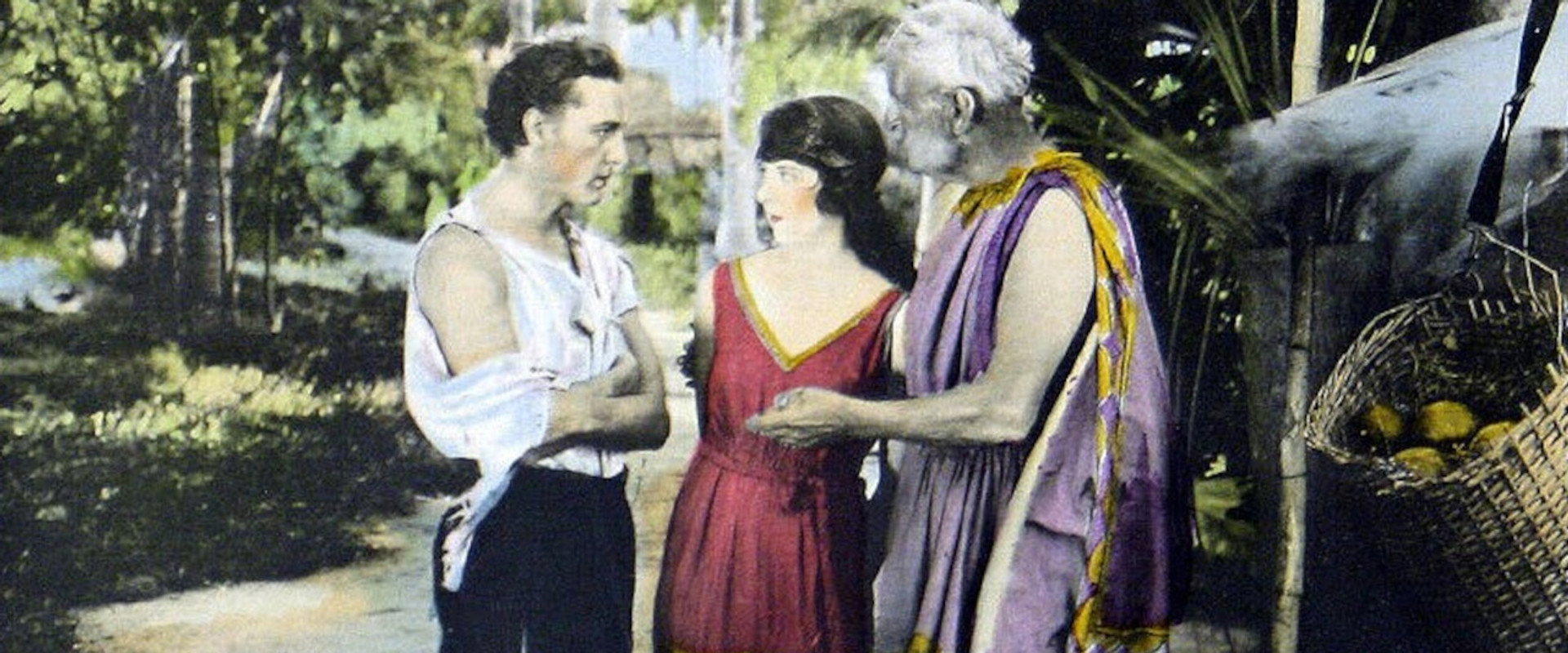 The Lotus Eater's banner image