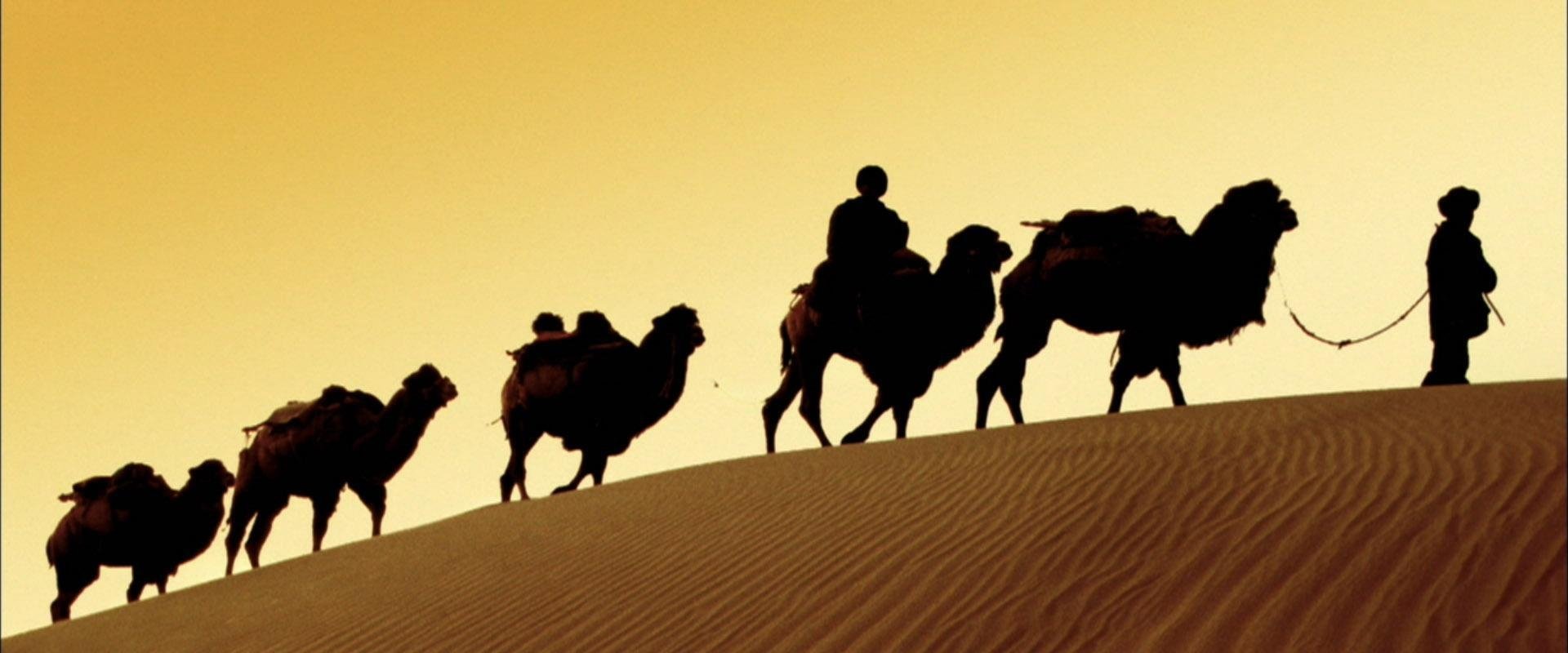In the Footsteps of Marco Polo