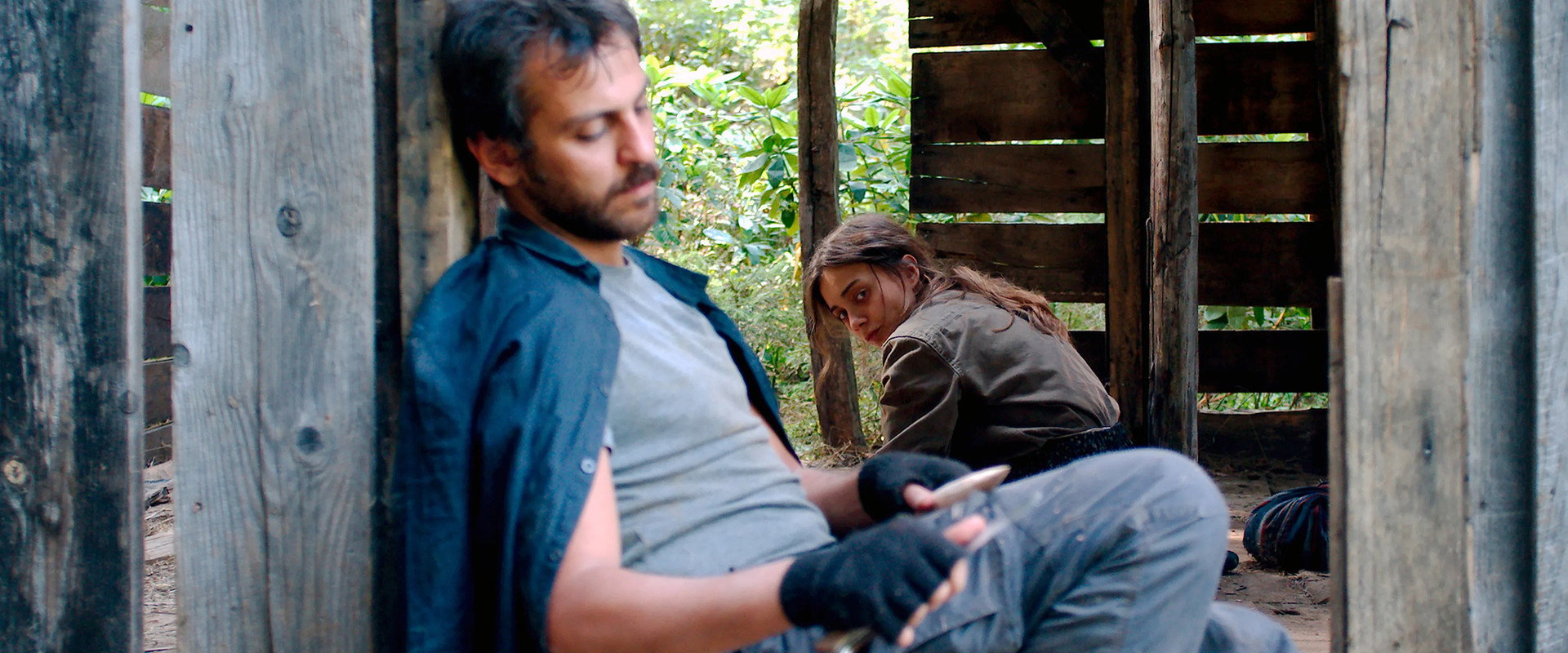 Sibel's banner image