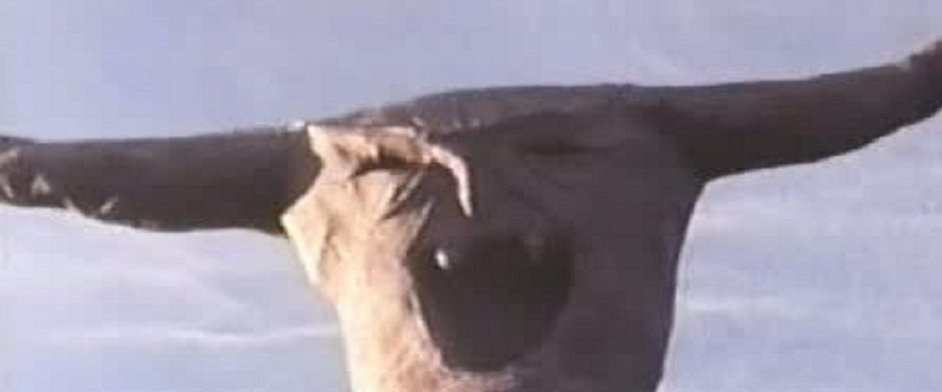 The Final Sacrifice