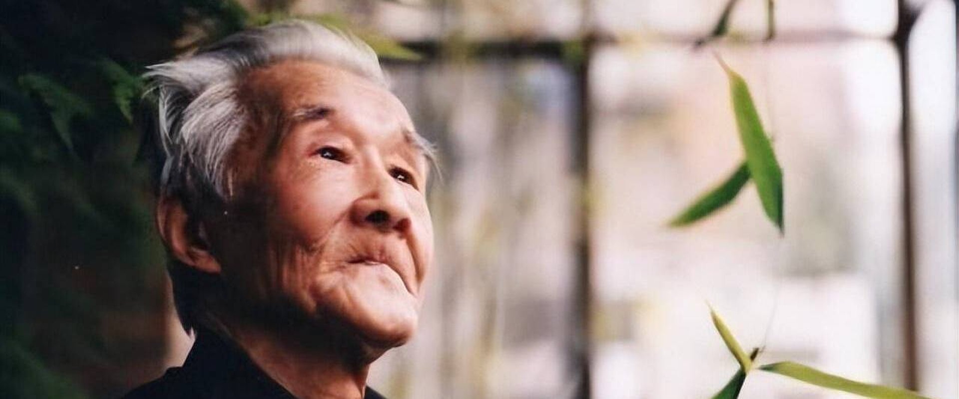 周汝昌眼中的四大名著