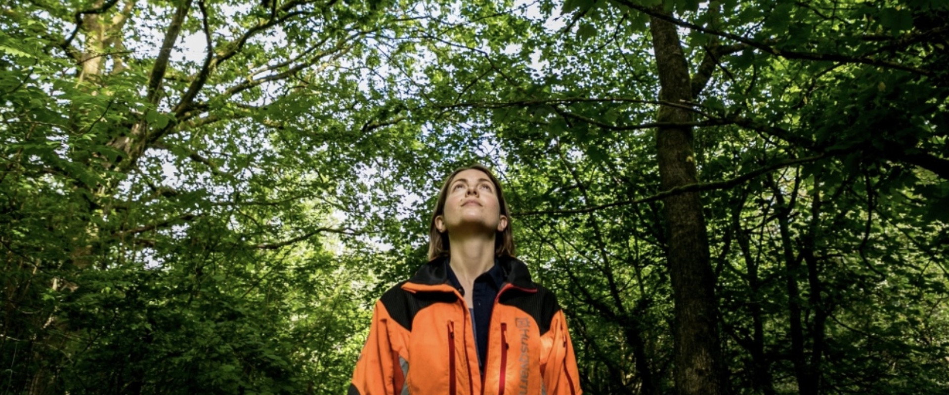 The Arborist
