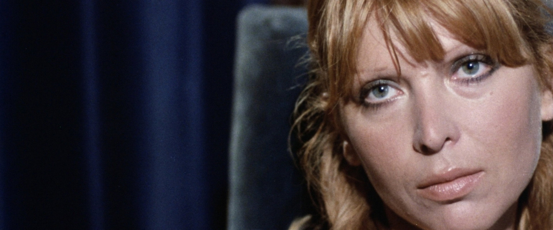The Randy Widow's banner image