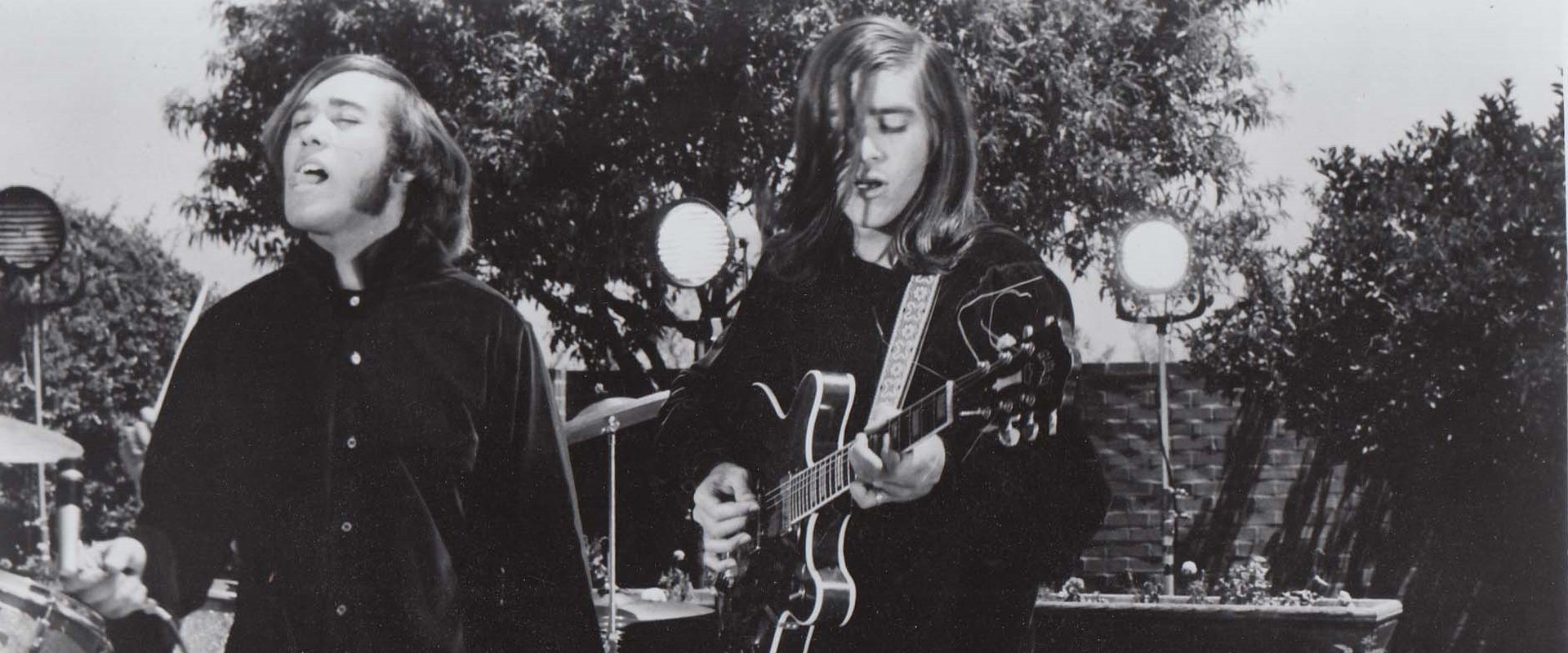 The Young Animals