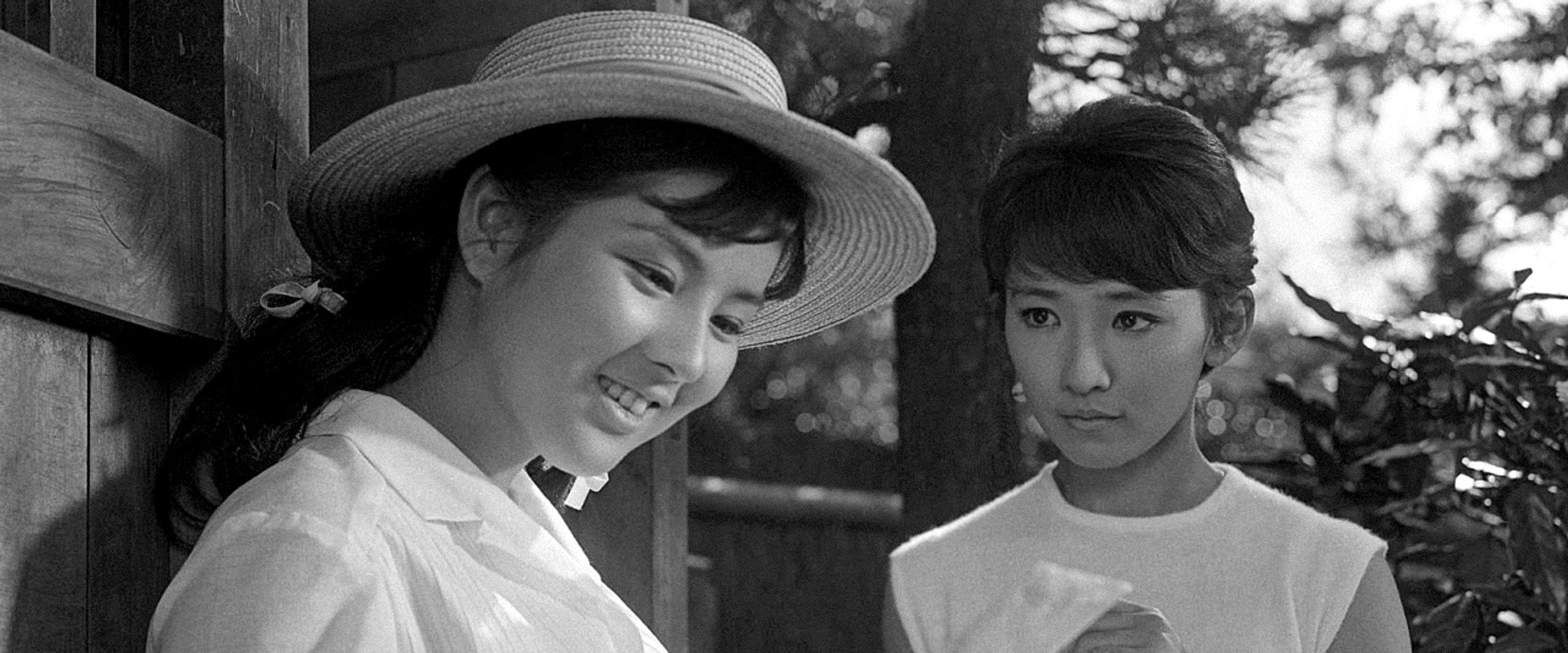 The White Peaks of Mt. Fuji's banner image