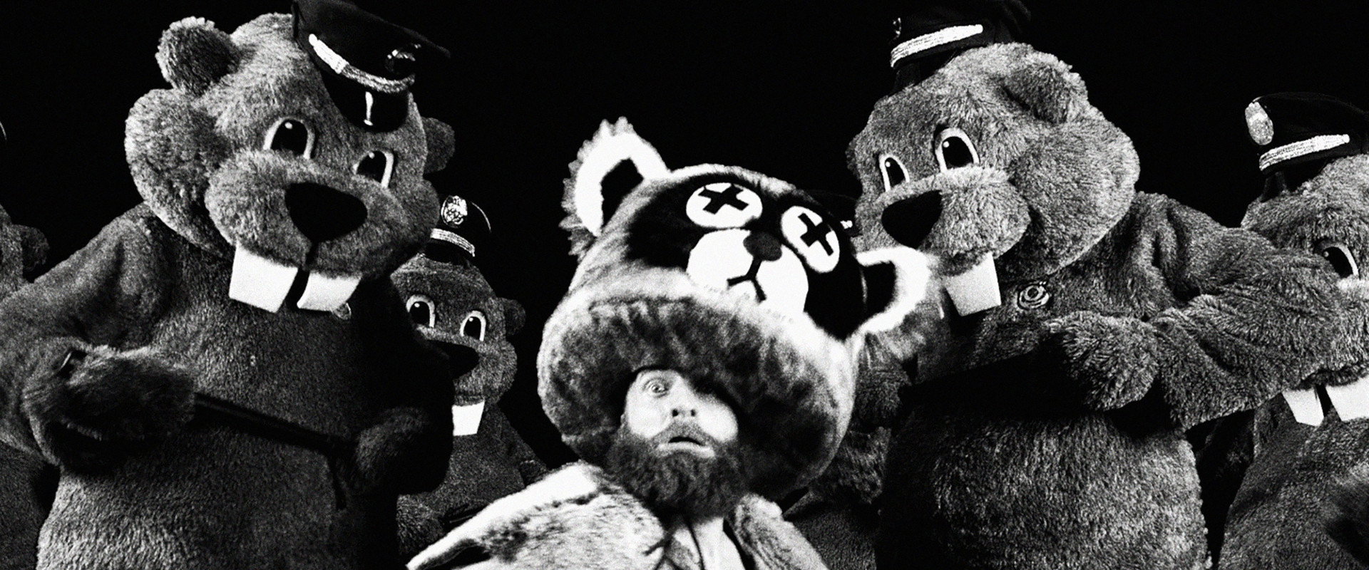 Hundreds of Beavers's banner image