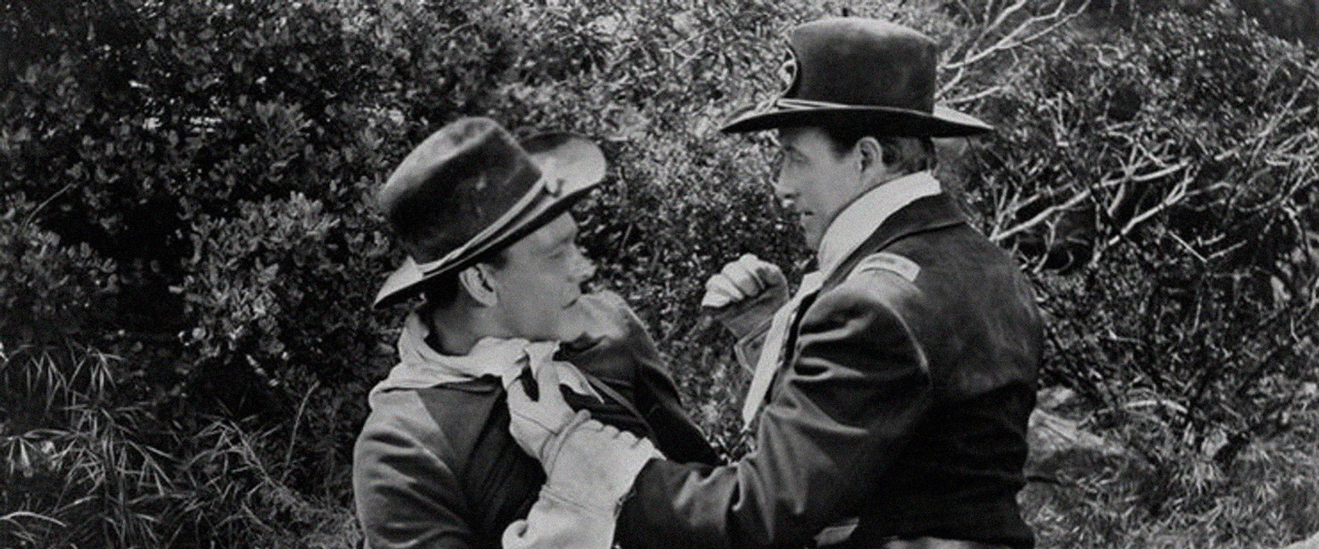 The Maverick's banner image