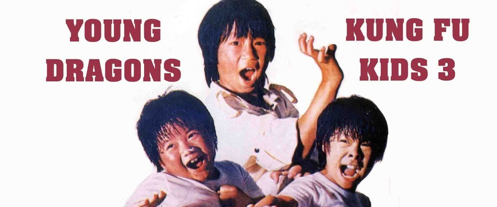 The Kung Fu Kids III's banner image