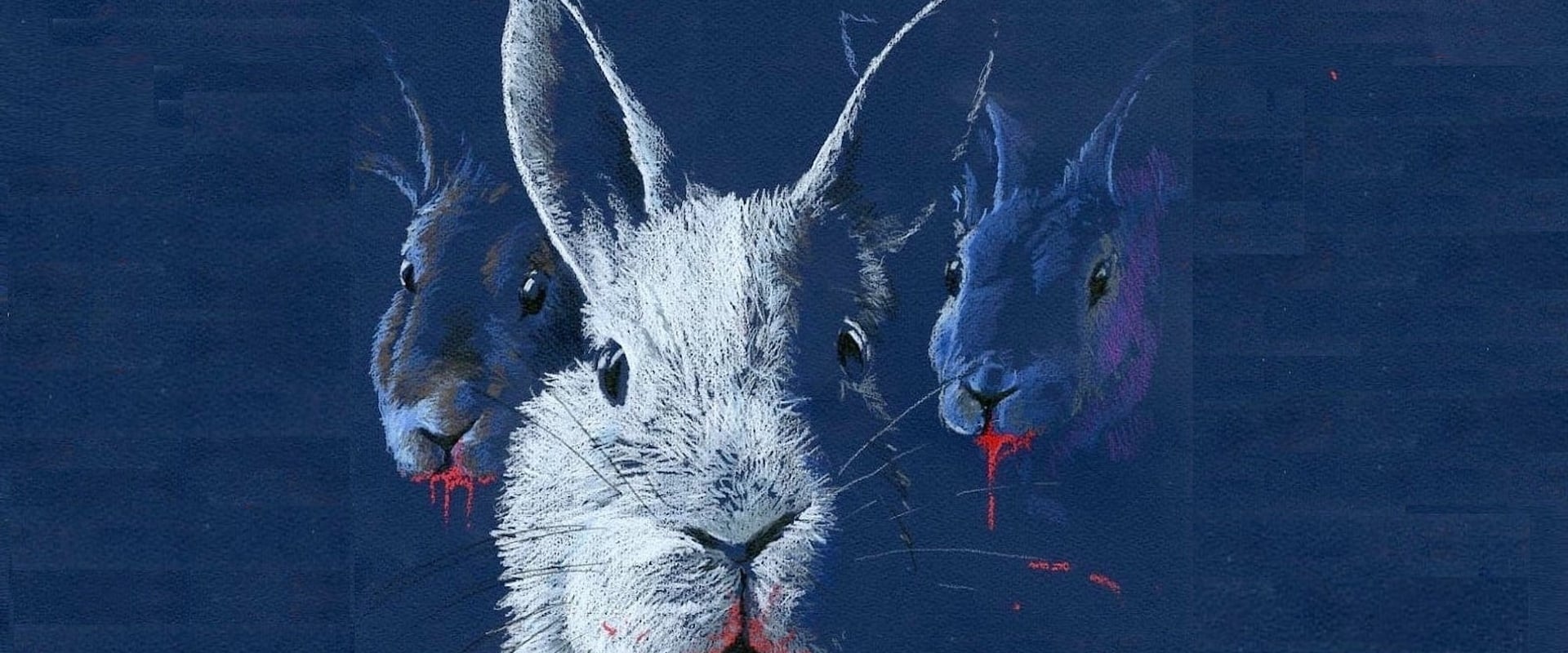 Rabbits