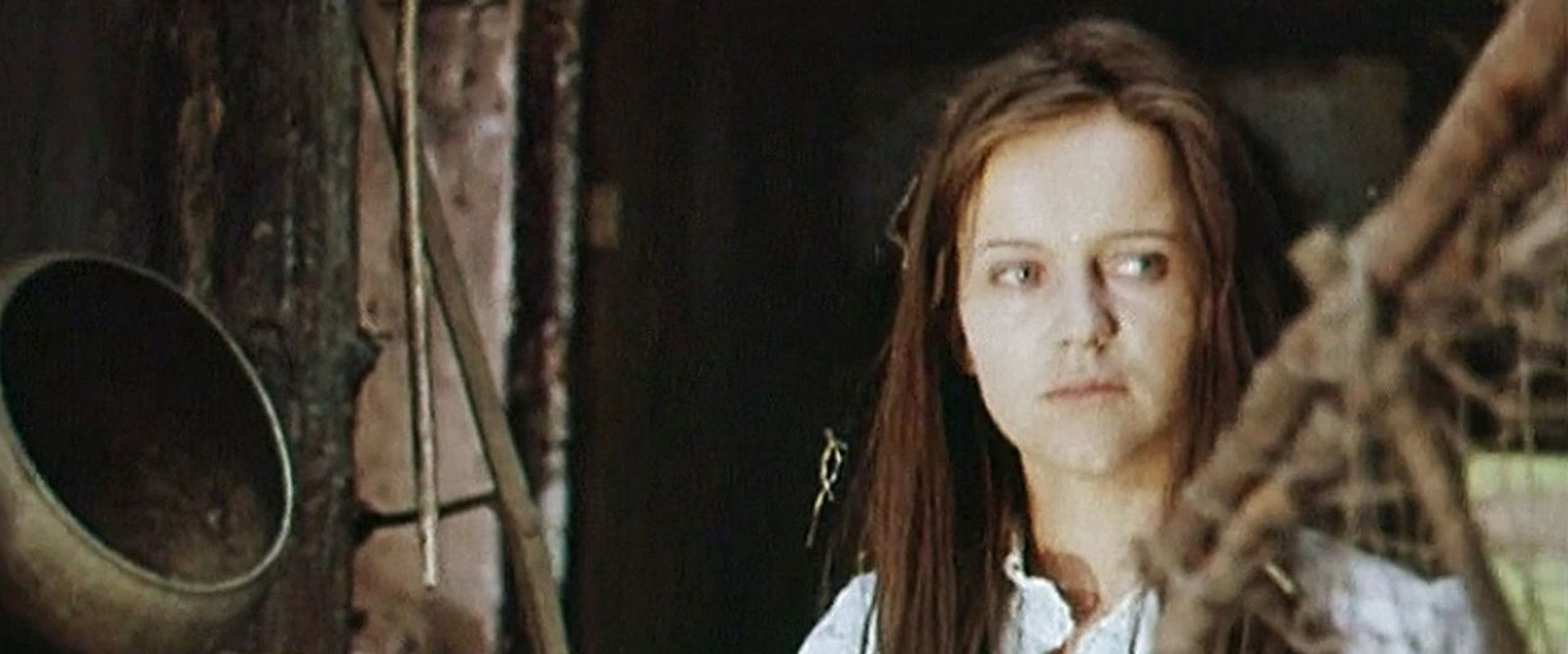 The Guarneri Quartet's banner image