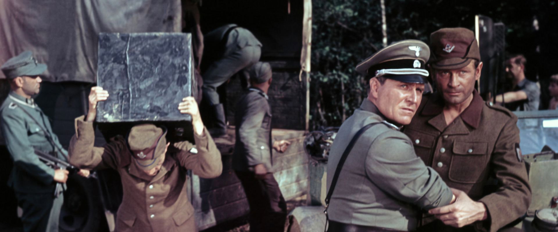 The Last Witness's banner image