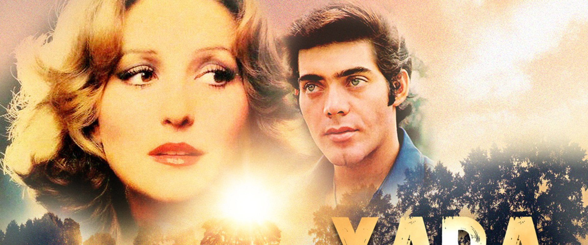 Yara's banner image