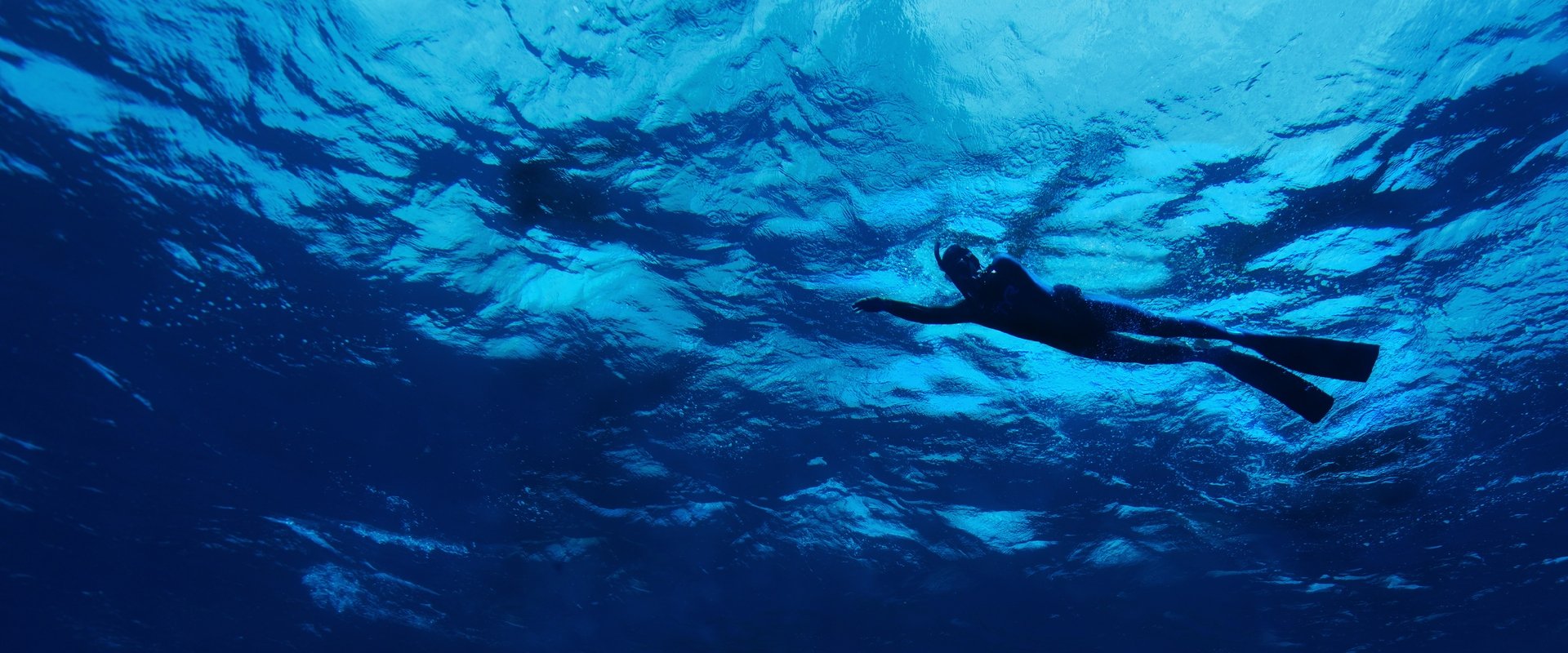 The Swim