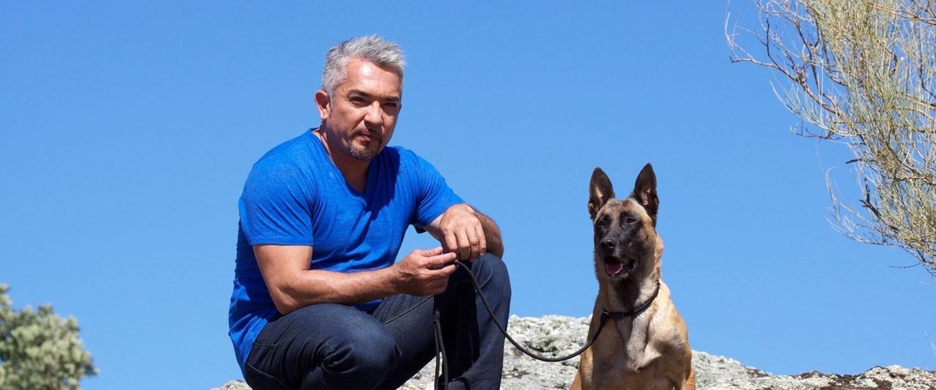 Cesar Millan's Leader of the Pack