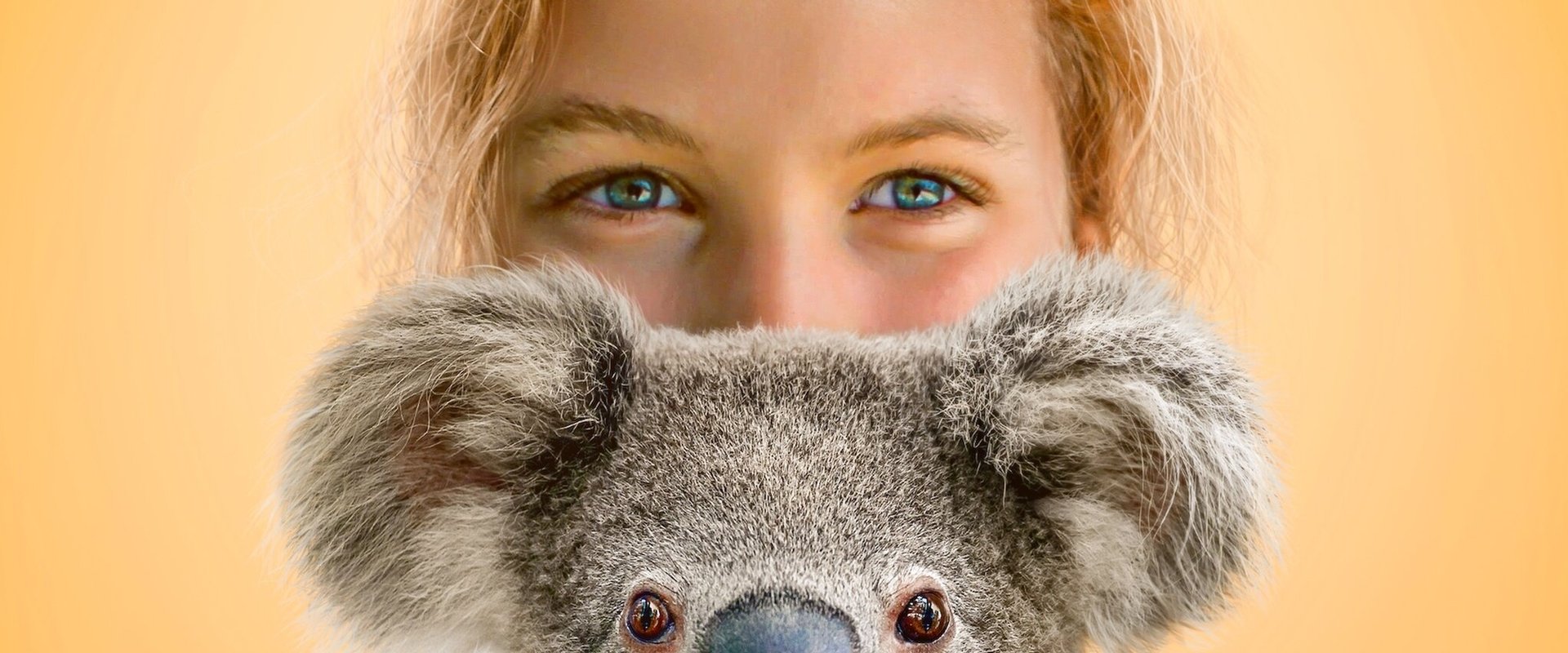 Izzy's Koala World