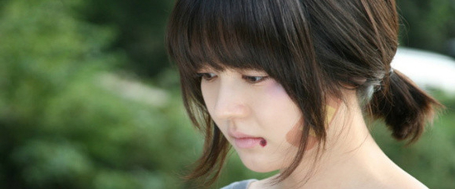 A Boy's Sister's banner image