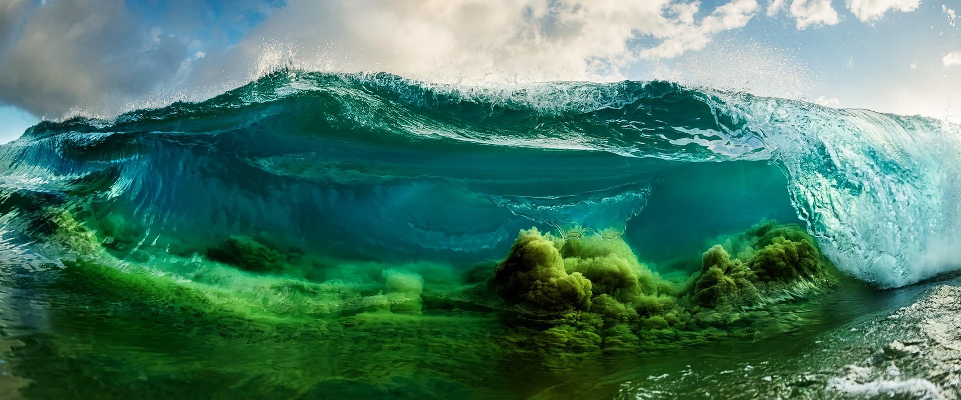 Shorebreak: The Clark Little Story