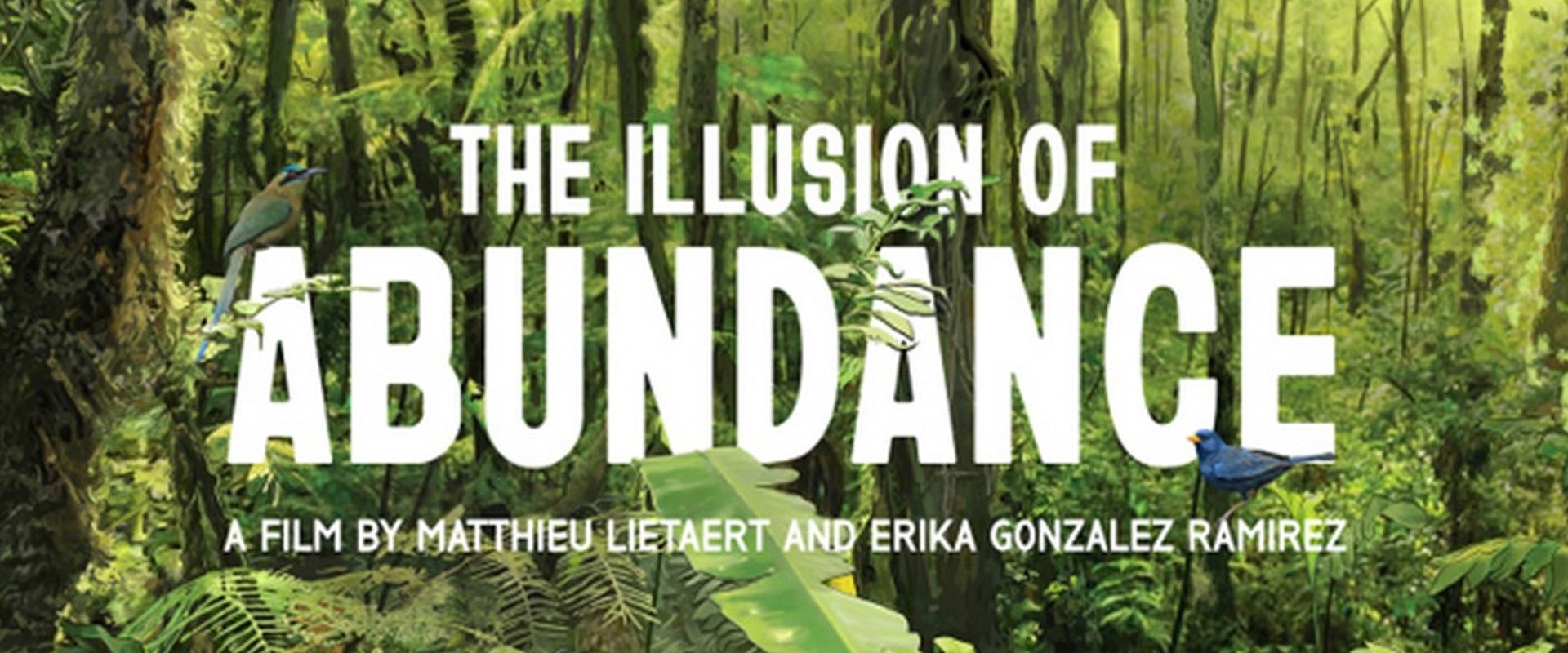 The Illusion of Abundance