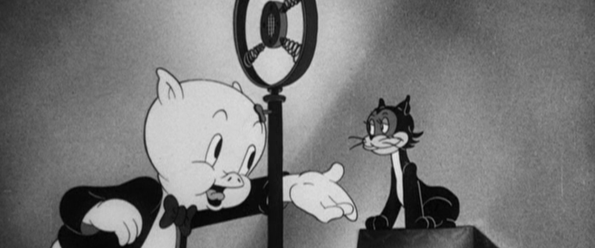 We, the Animals - Squeak!