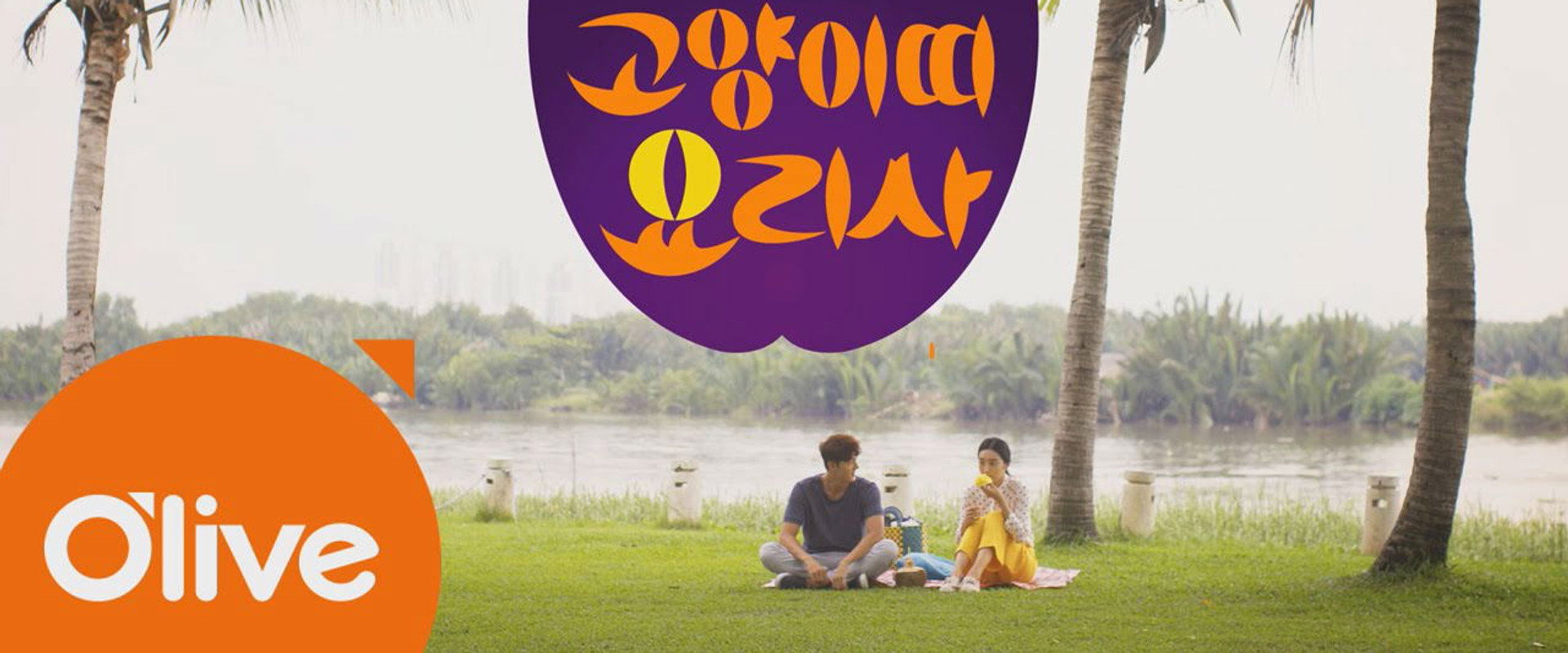 고양이띠 요리사