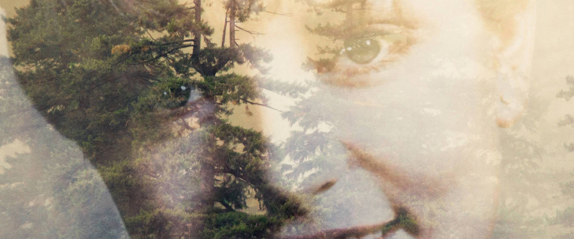 Twin Peaks