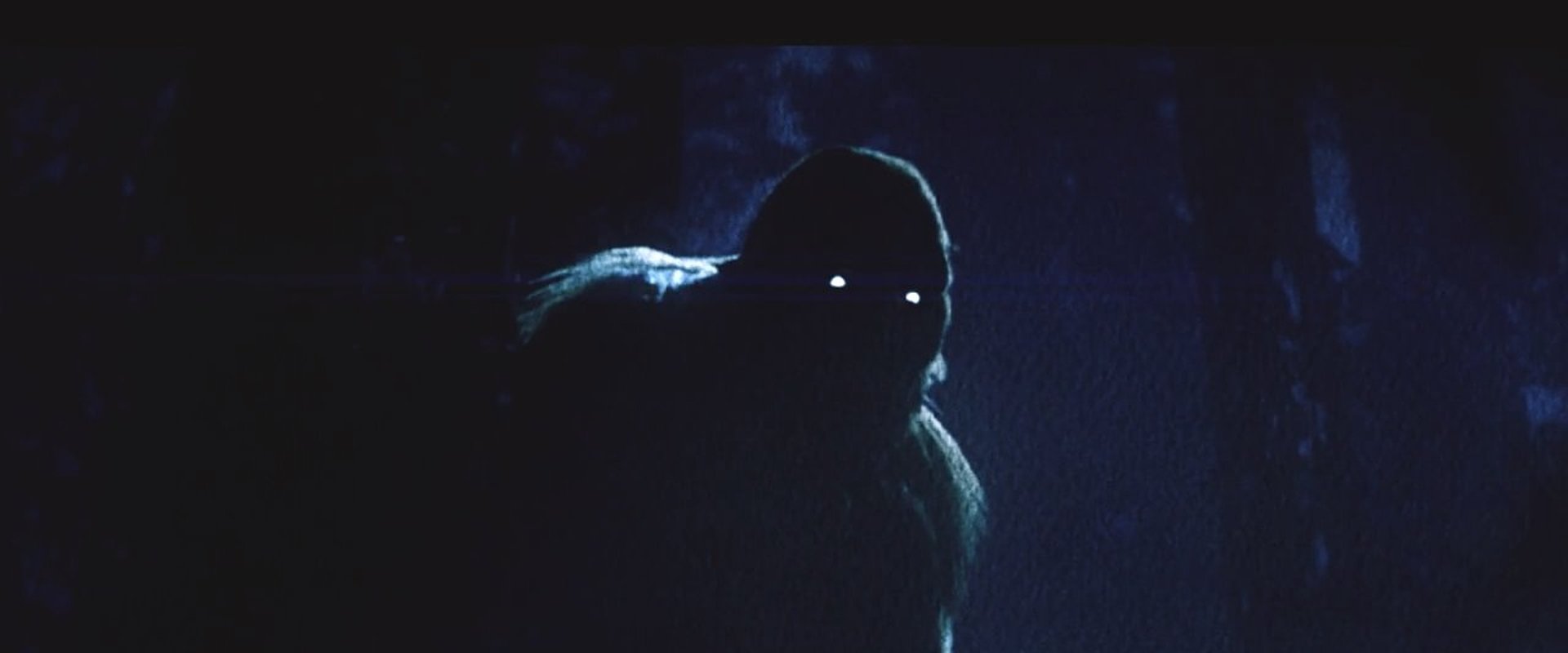 On the Trail of Bigfoot:  Land of the Missing