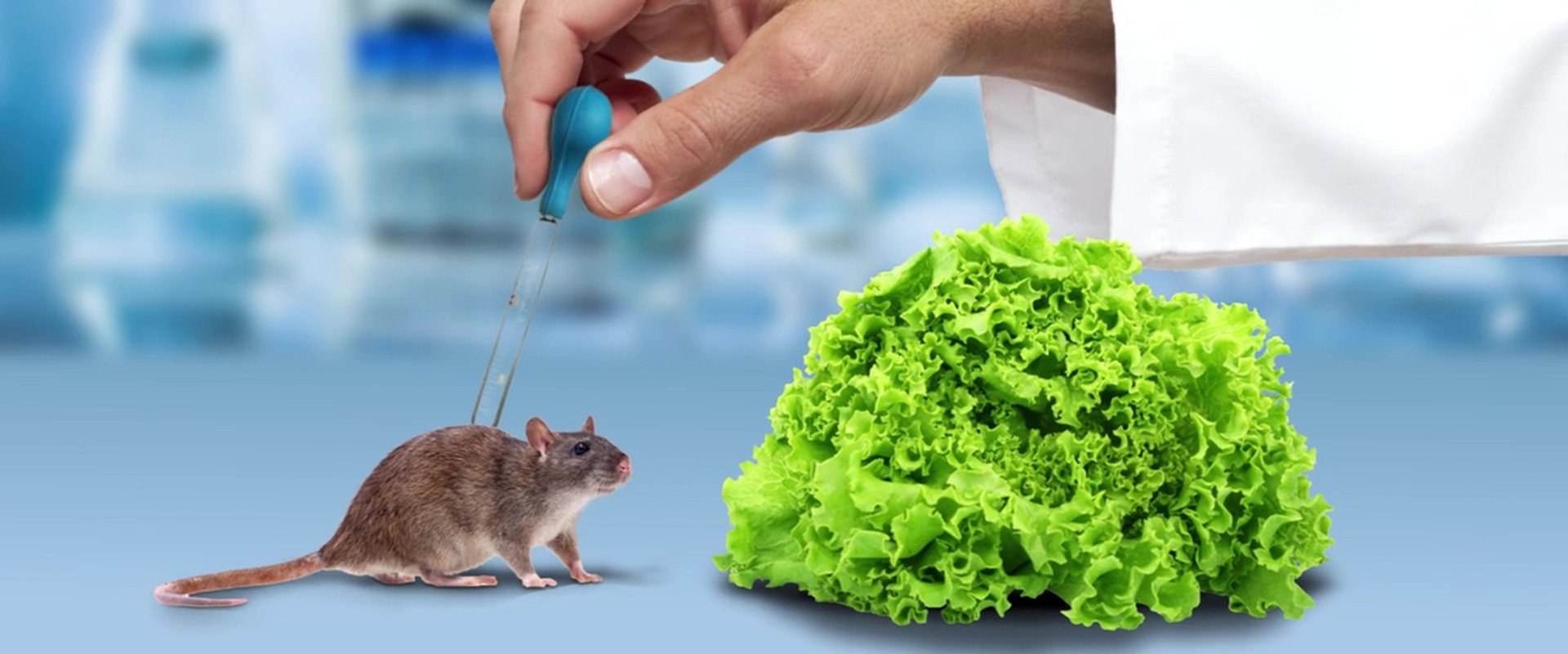 The Weight of Chains 3