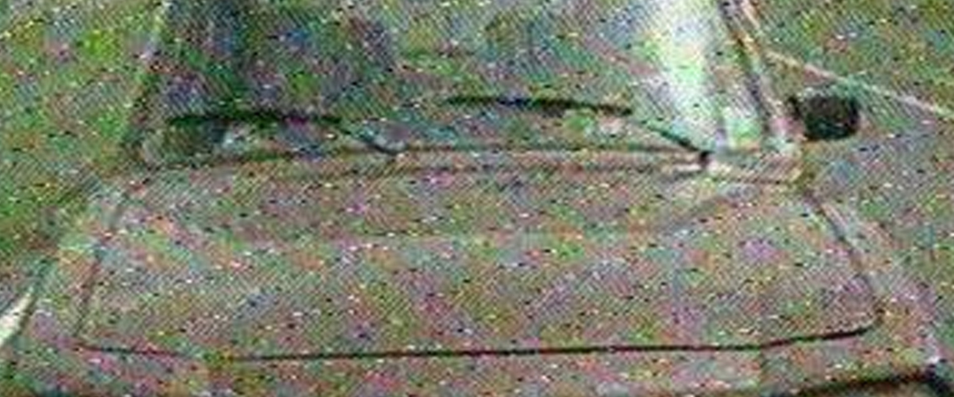 Buen viaje's banner image