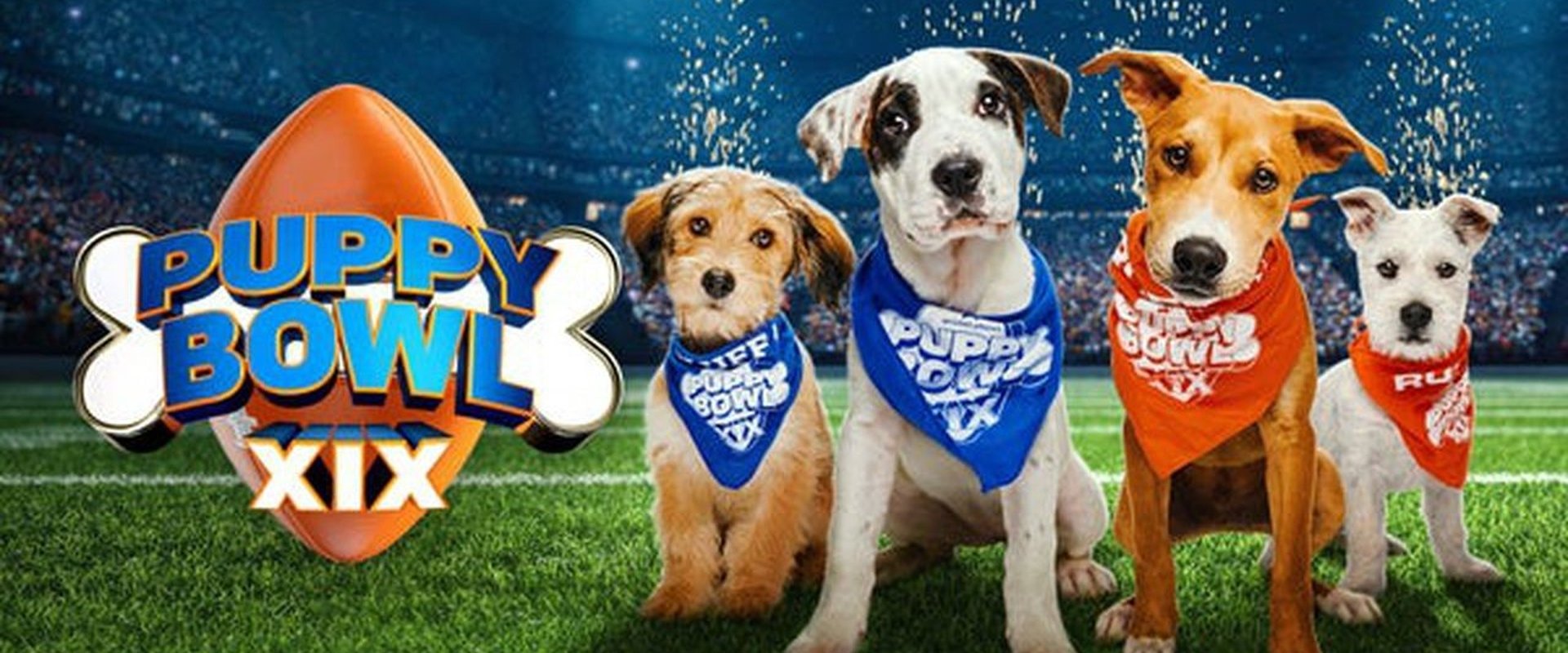 Puppy Bowl XIX