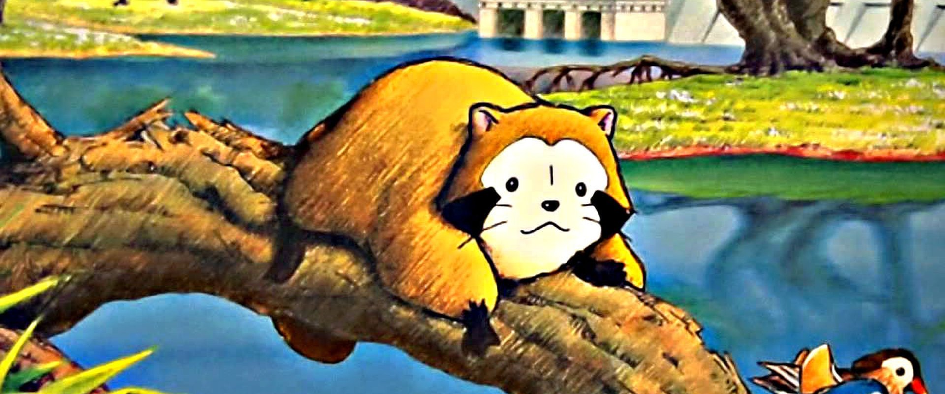 Rascal the Raccoon