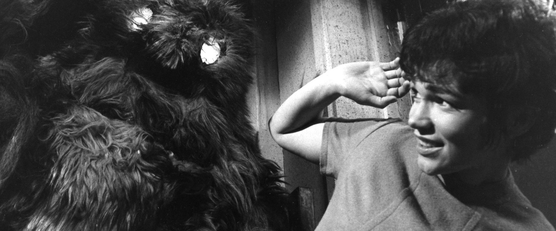 Doctor Who: The Web of Fear's banner image