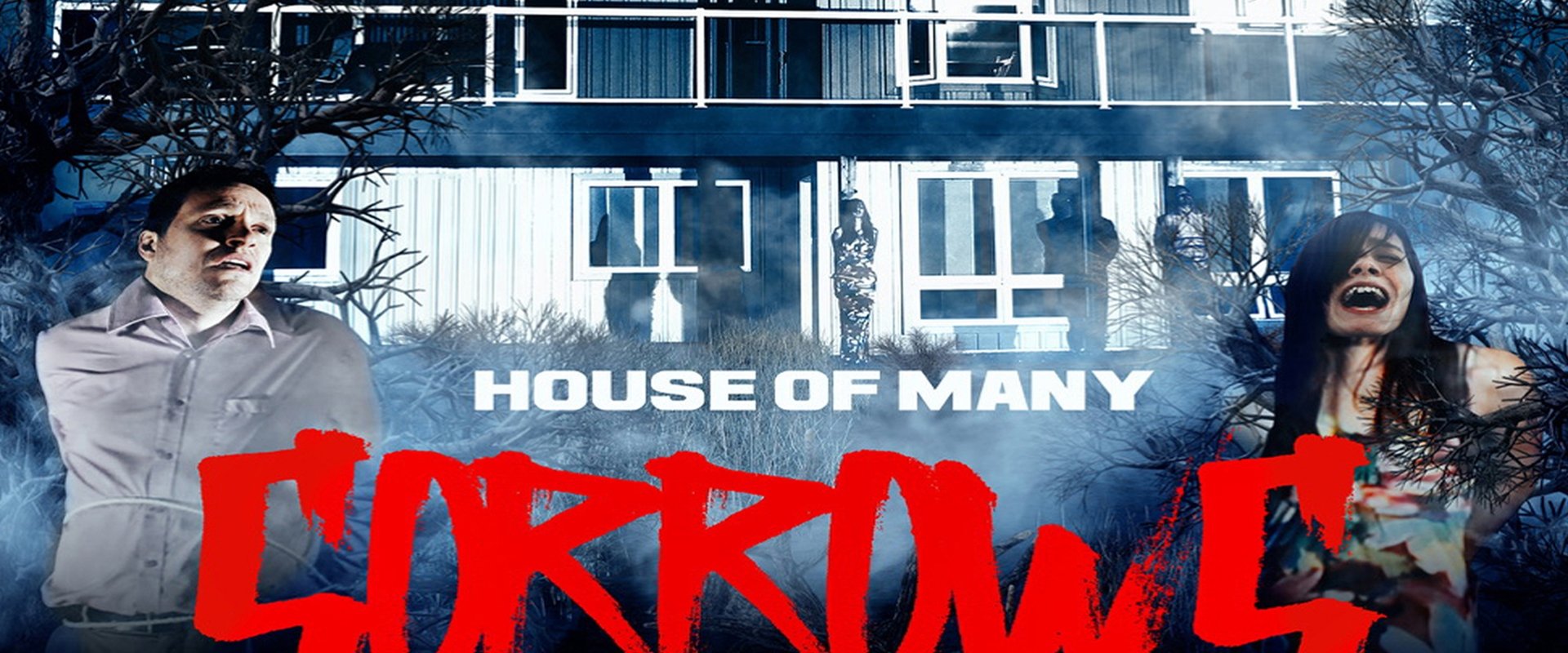 House of Many Sorrows