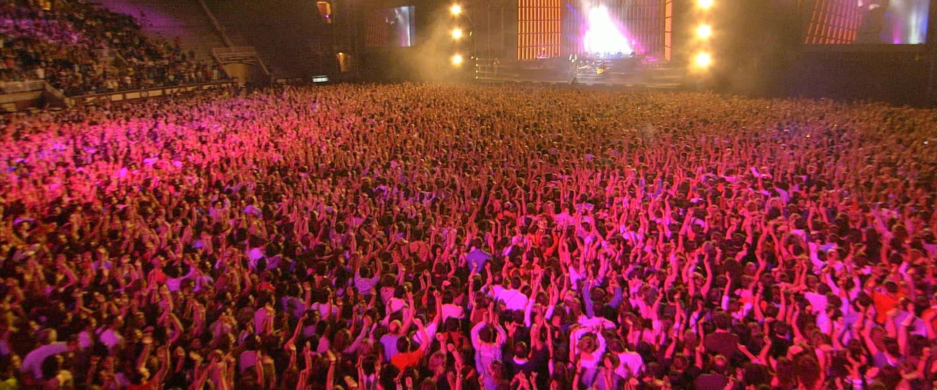 Miguel Bosé: Papitour's banner image