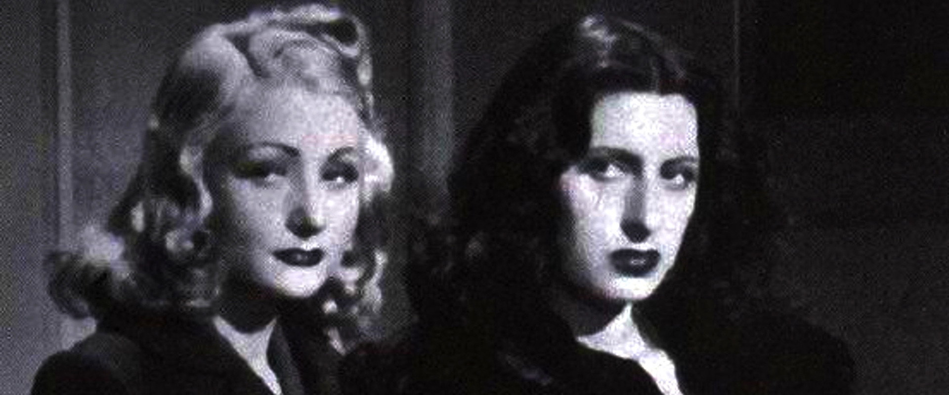 La fuggitiva's banner image