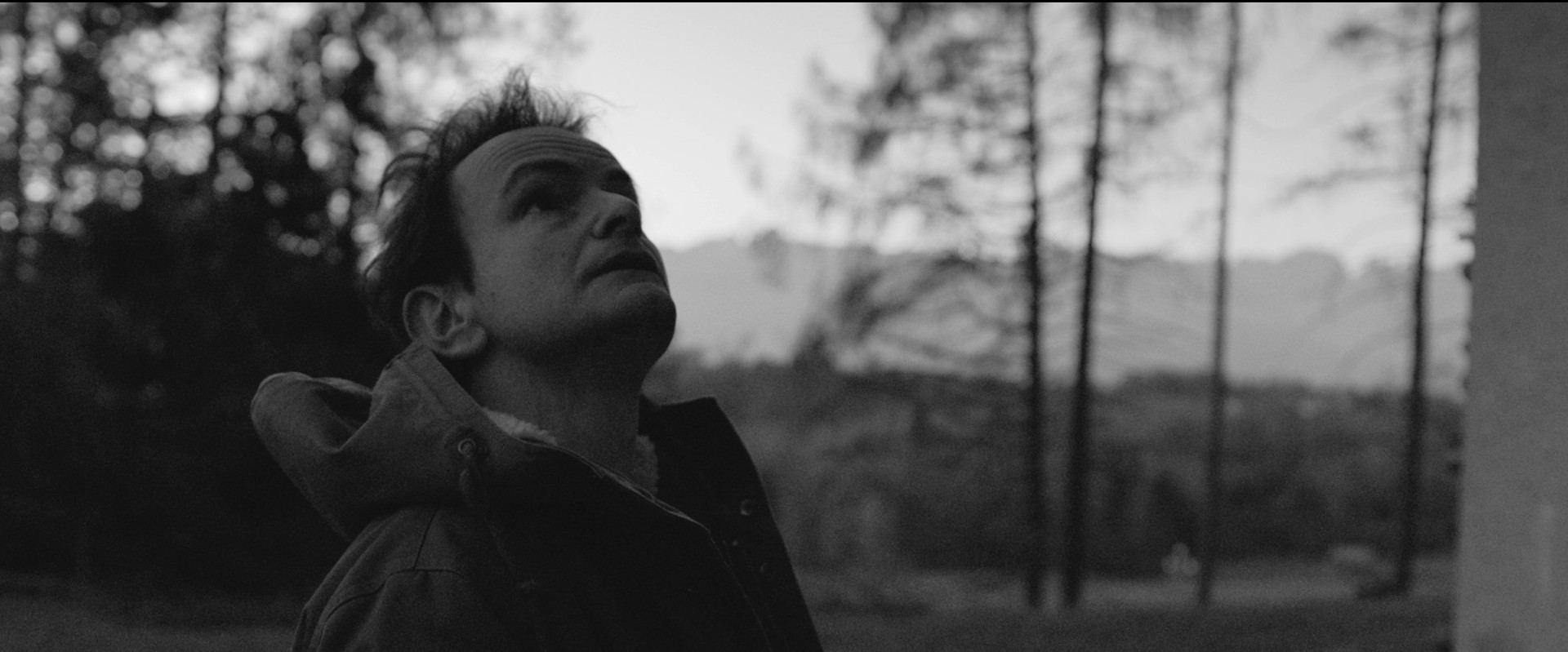 Other Cannibals's banner image