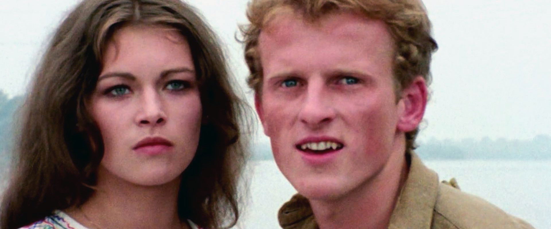 Puppy Love's banner image