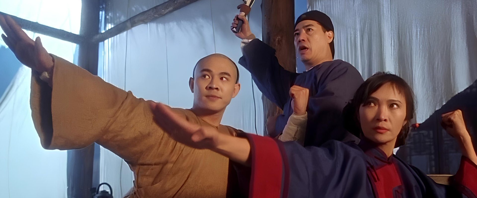 The Legend of Fong Sai Yuk