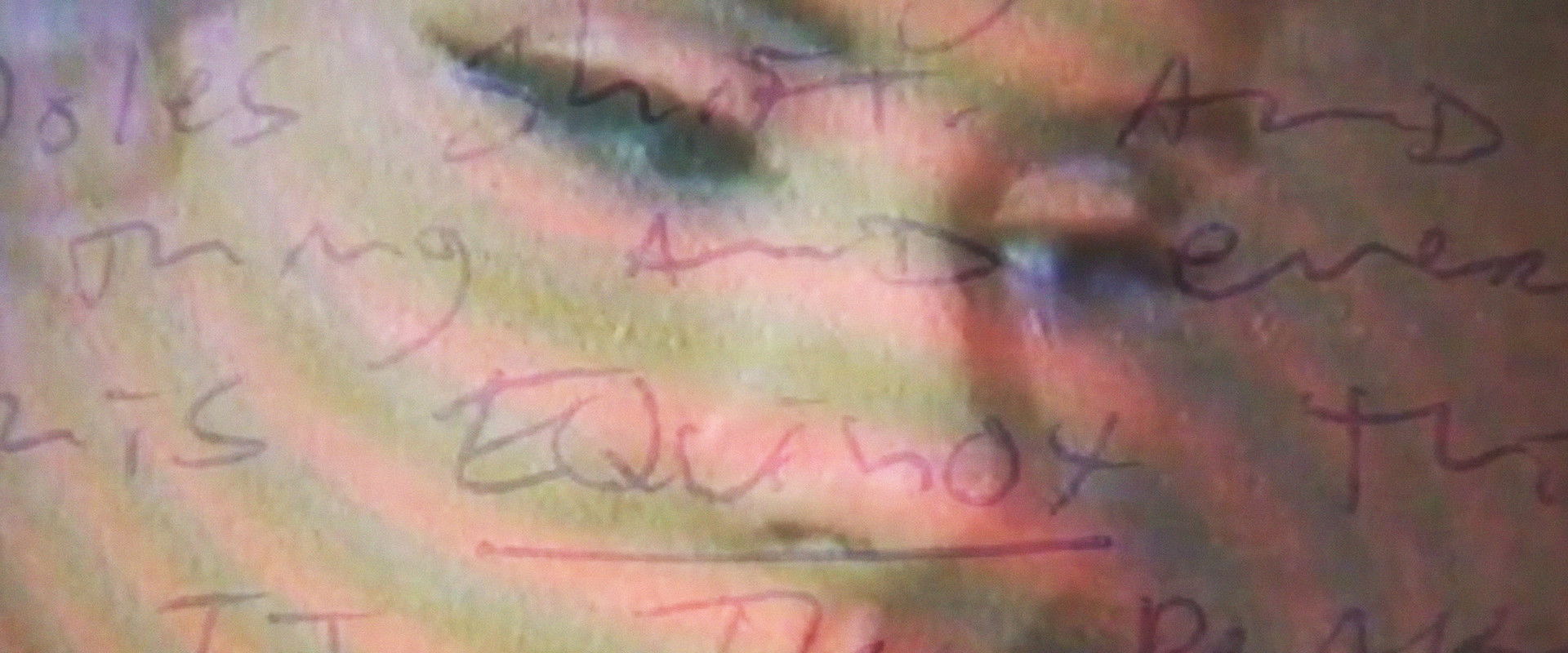 We Must Remain the Wildhearted Outsiders's banner image