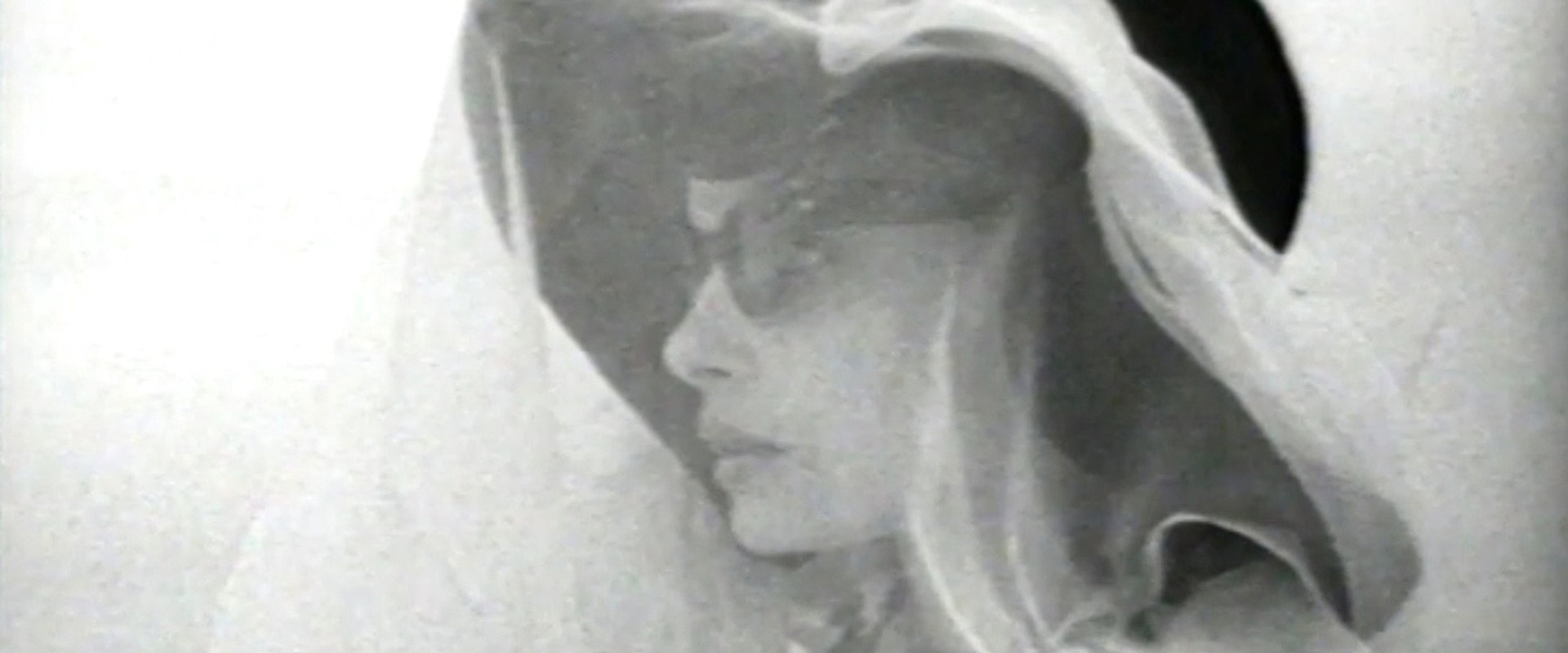 The Houseguest's banner image
